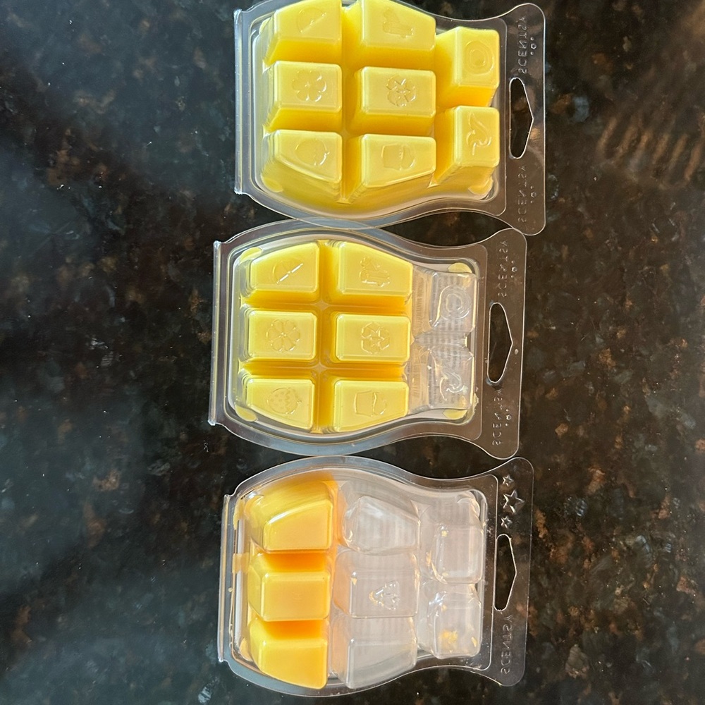 Scentsy Squeeze the Day (1 full pack, 2 partials) - Picture 5 of 6